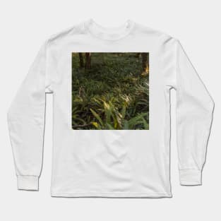 Forest Floor Covered with Ferns Long Sleeve T-Shirt